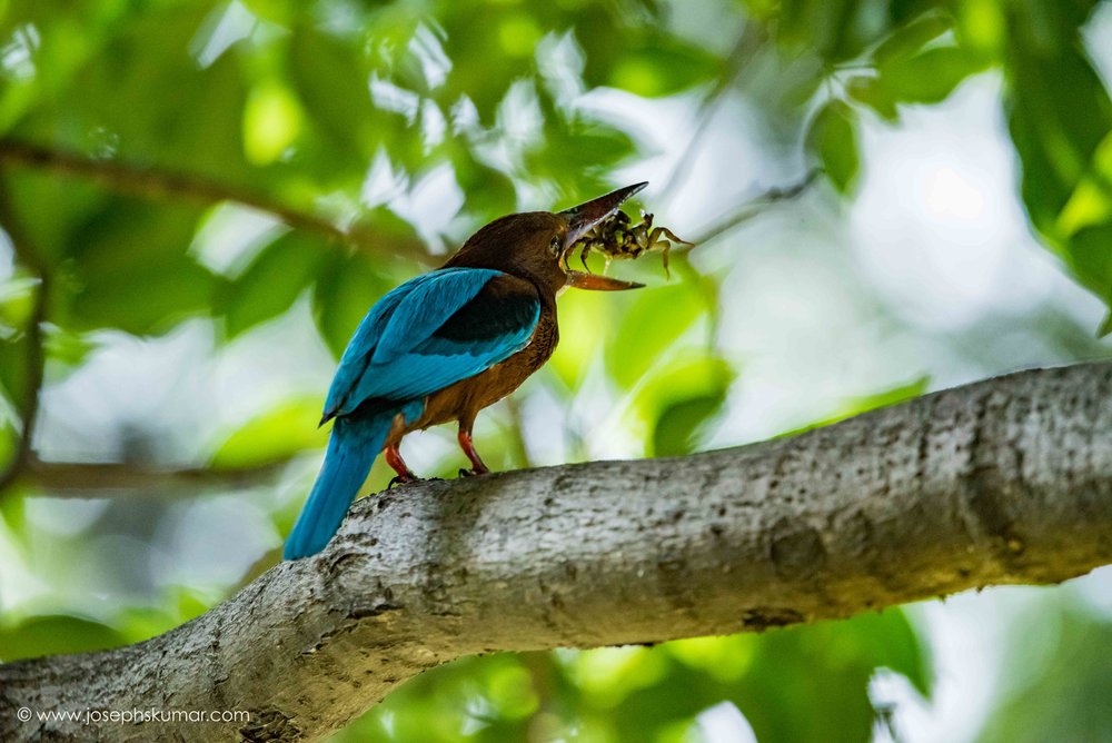 Lalbagh-25.jpg