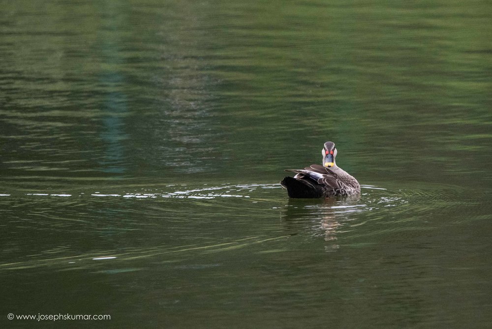 Lalbagh-35.jpg