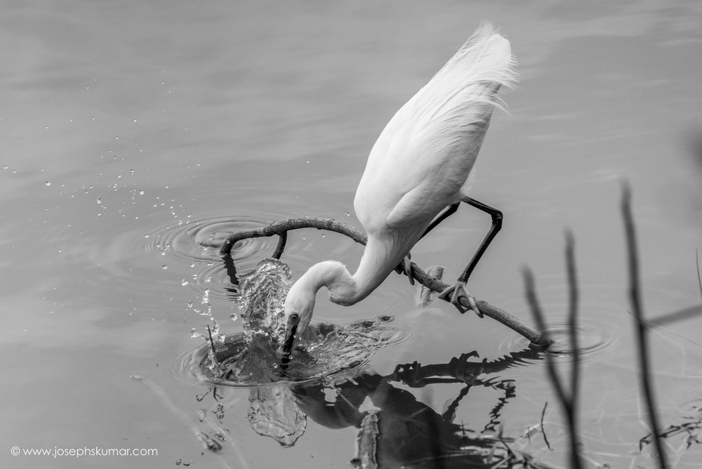 Lalbagh-44.jpg