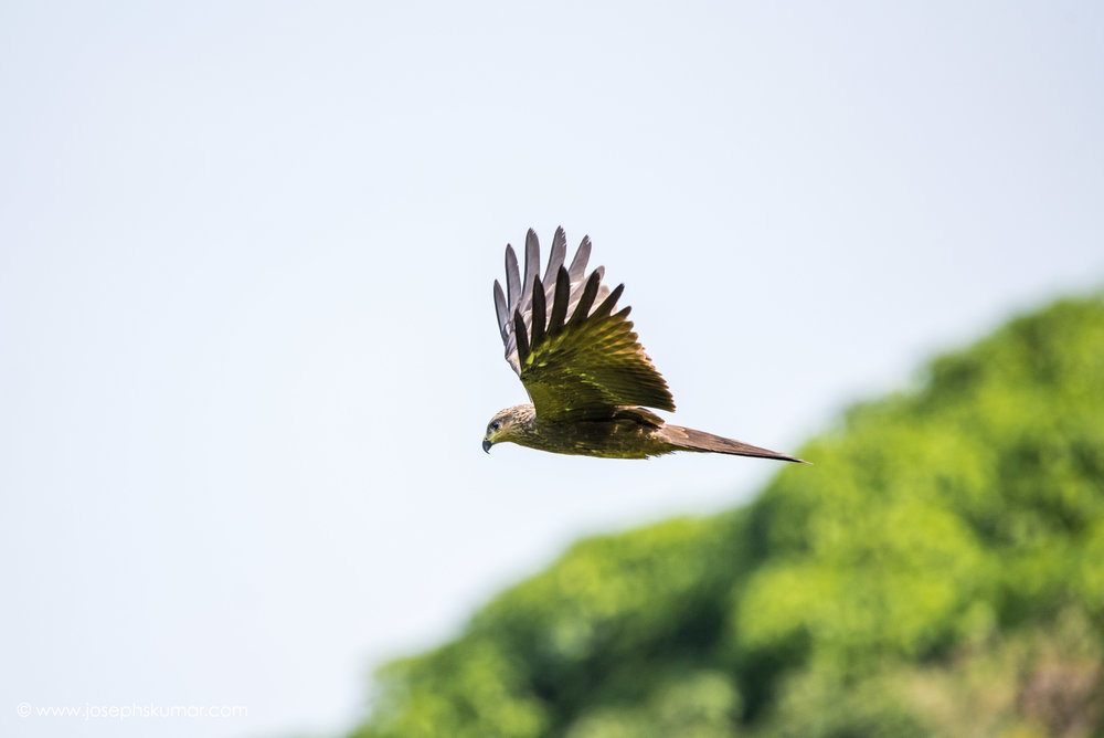 Lalbagh-47.jpg