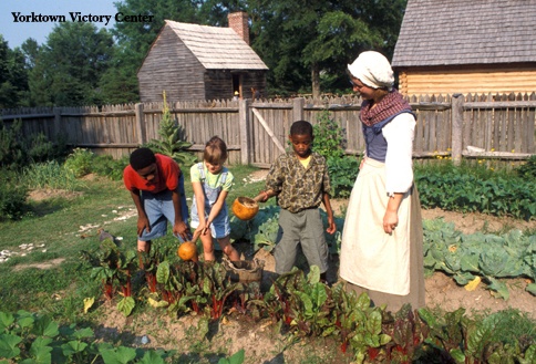 YVC-visitors_water_farm_garden_with_gourds.jpg