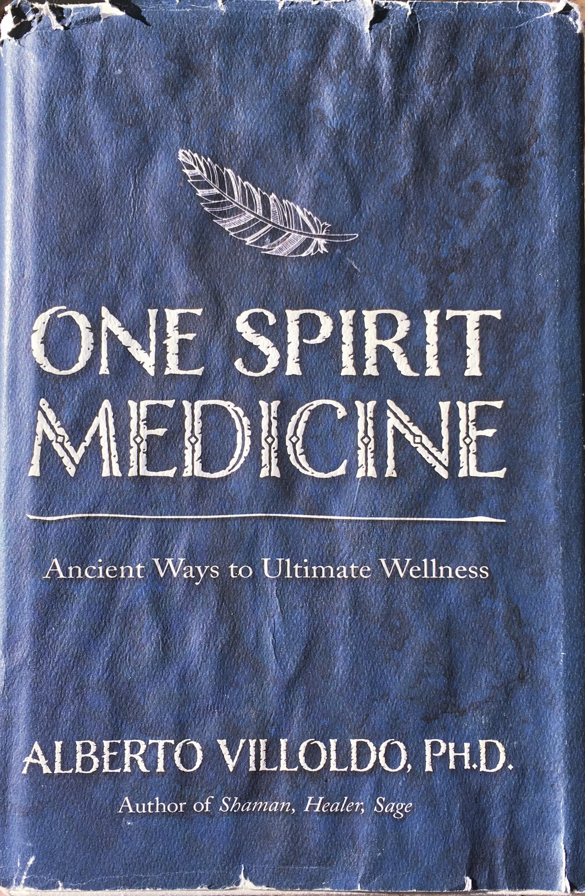 One Spirit Medicine BOOK.jpg