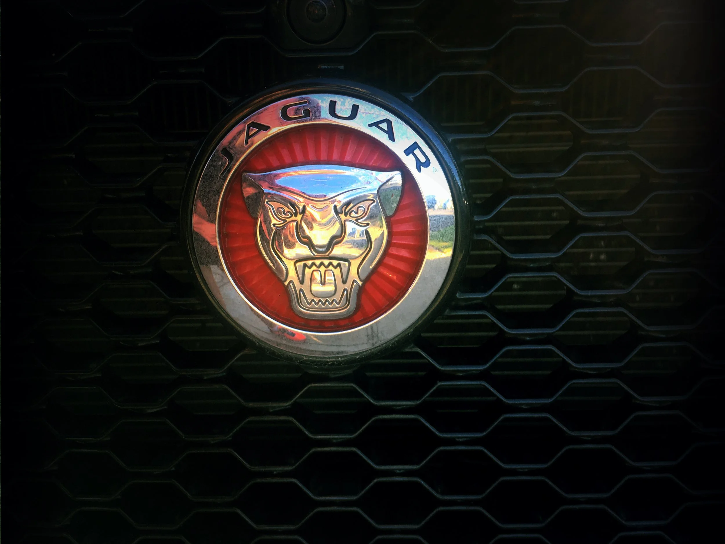 The breath of the Jaguar BLOG.jpg