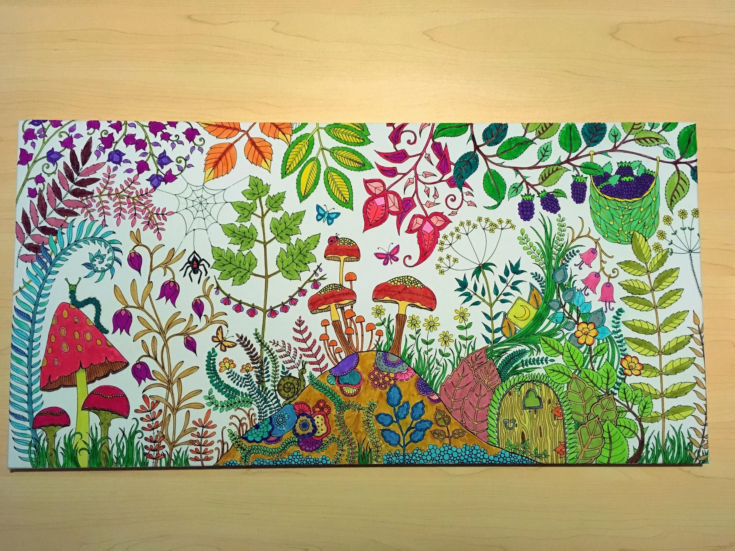 Johanna Basford - The Enchanted Forest Canvas - 18/19 December 2016