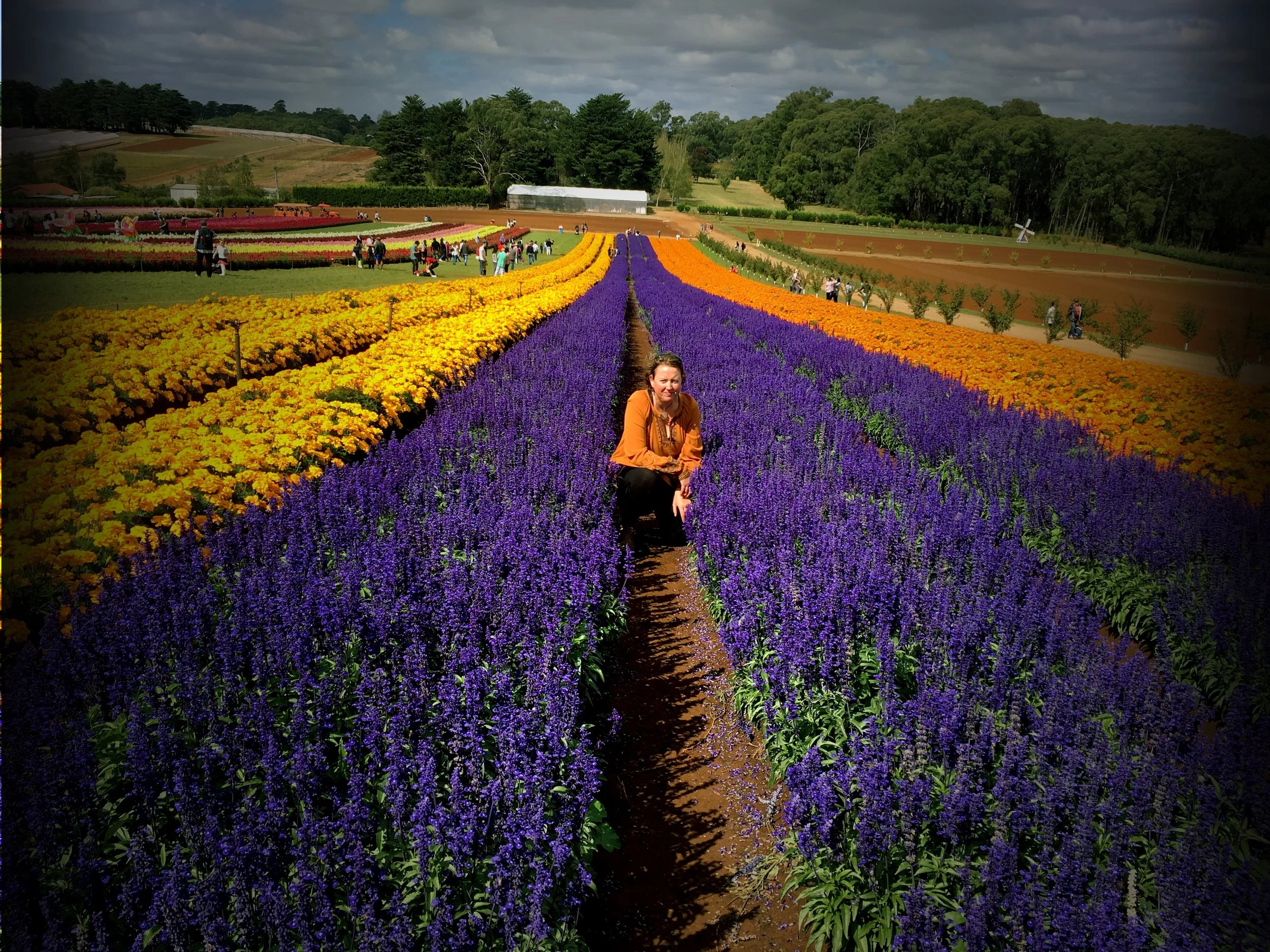 HOW TO LIVE WITH A NEAT FREAK: YOU