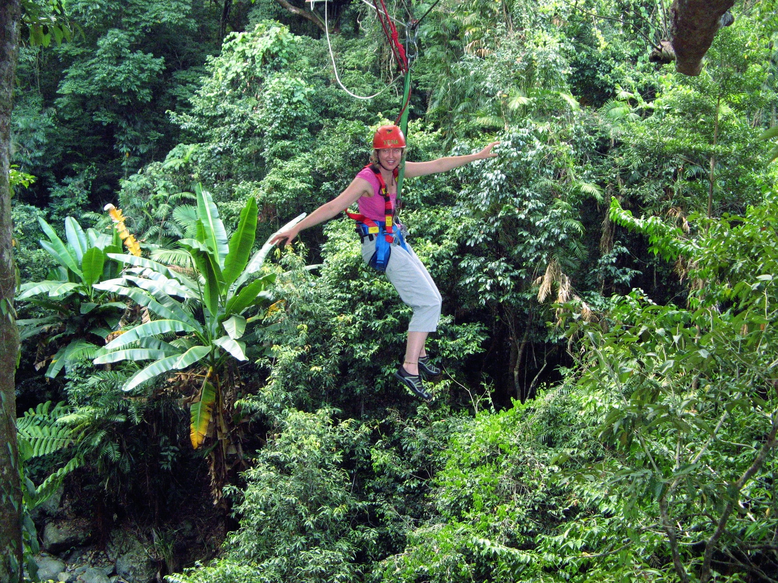 JUNGLE SURFING IN THE DAINTREE FOREST, QLD, AUSTRALIA, SEPTEMBER, 2009