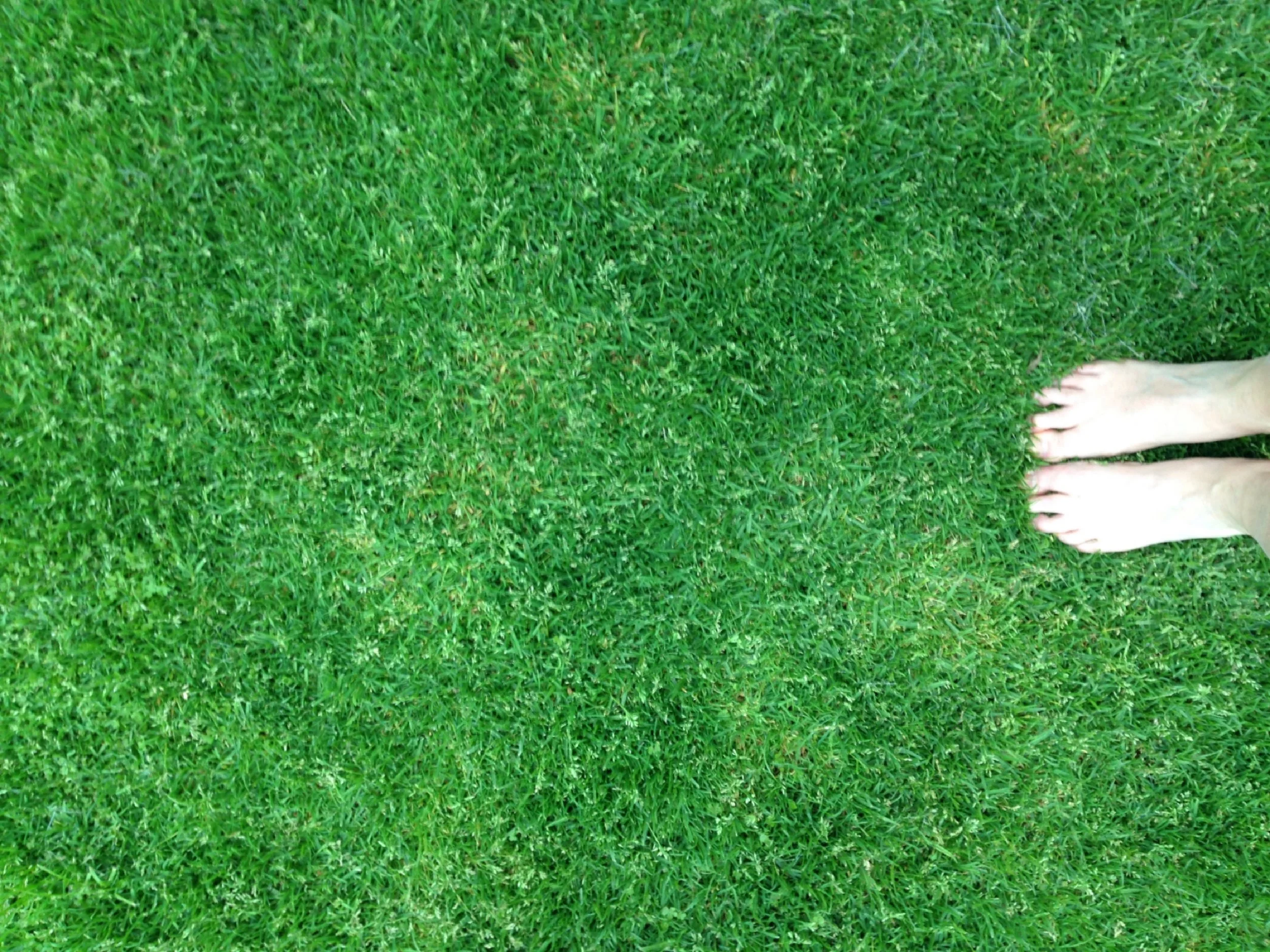 GROUNDING WITH THE GRASS BETWEEN YOUR TOES
