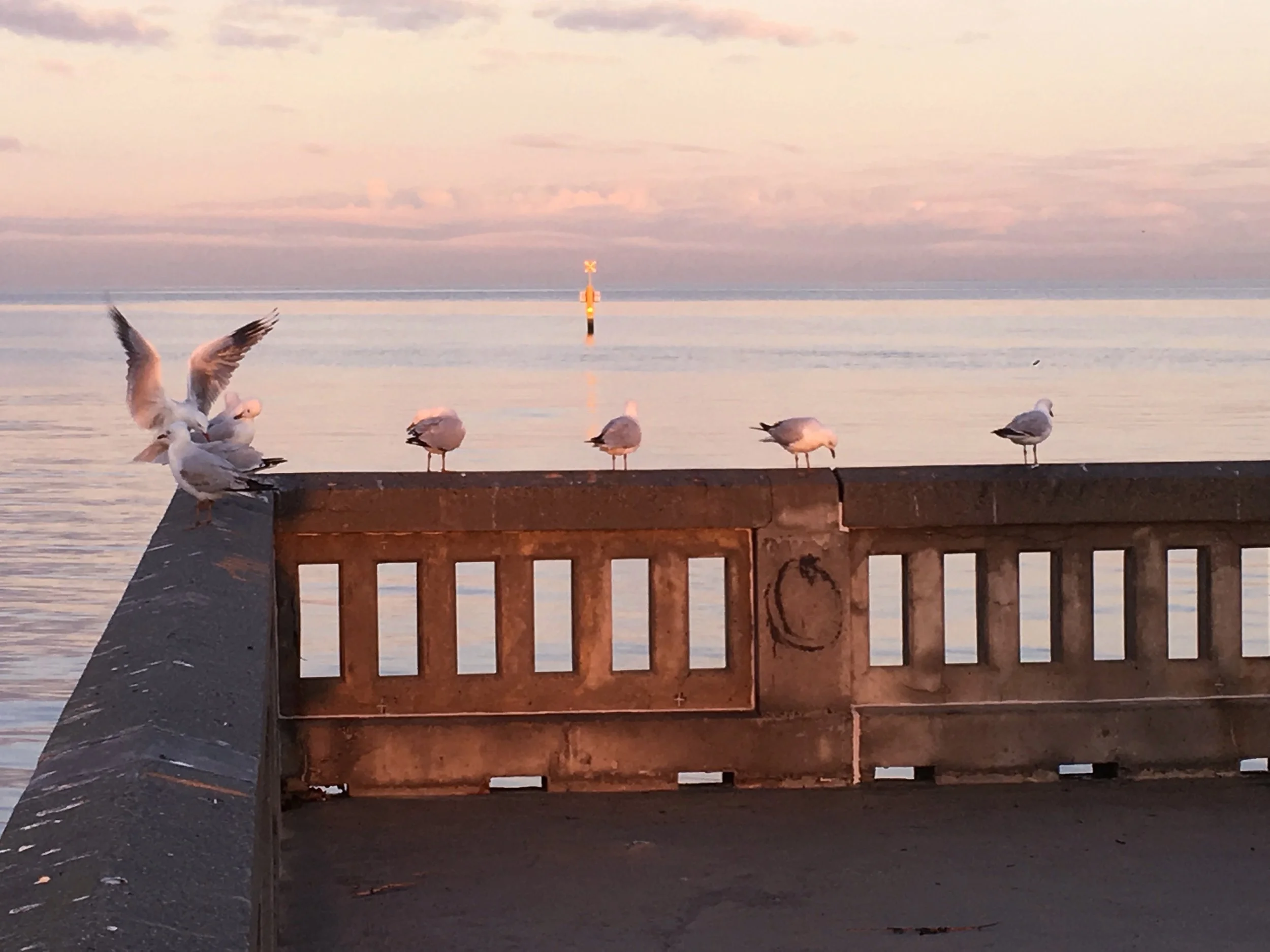 2019 Winter morning in Elwood Beach, Elwood, Victoria, Australia.