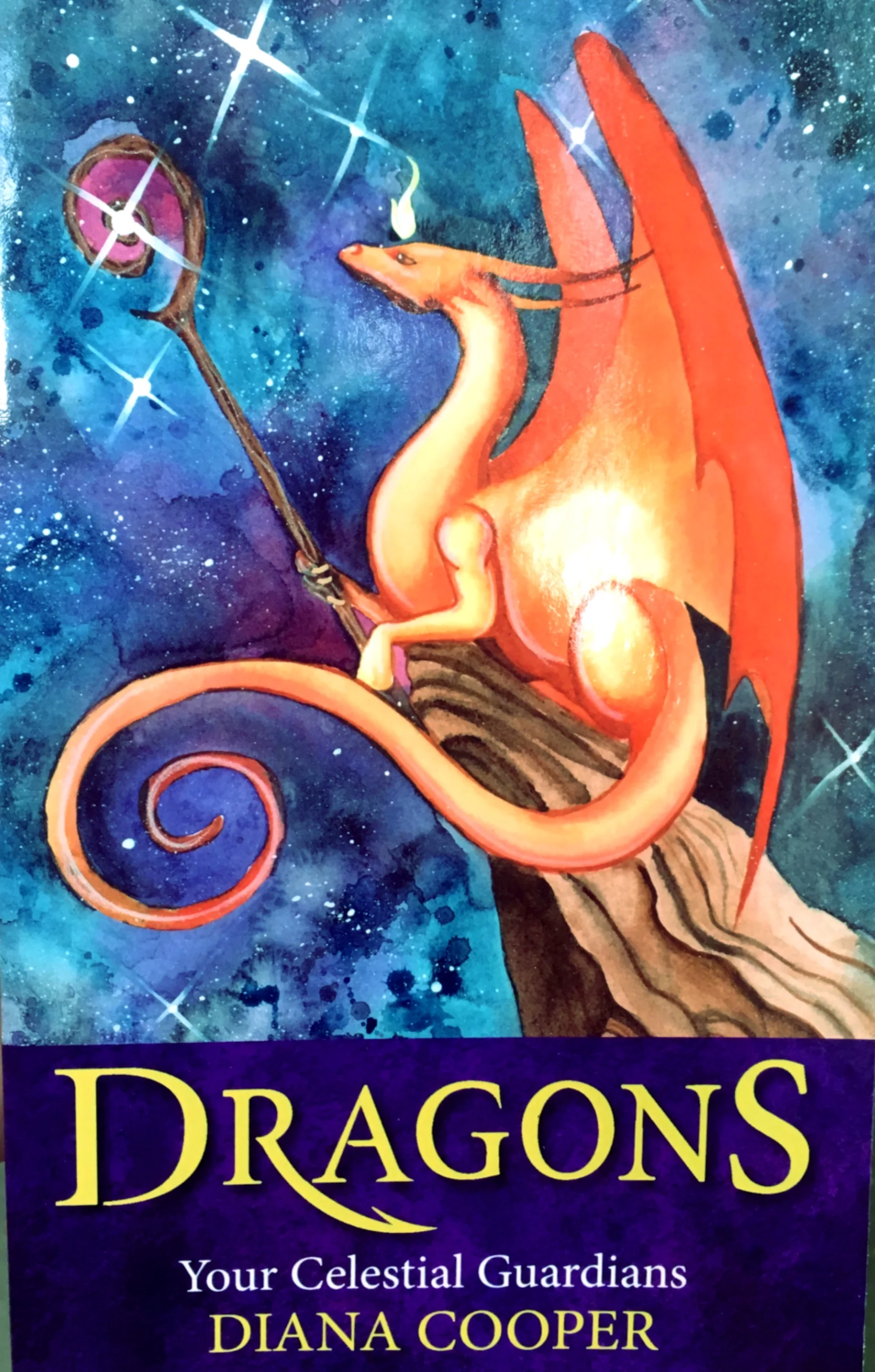 Dragons your Celestial Guardians BOOKS.jpg
