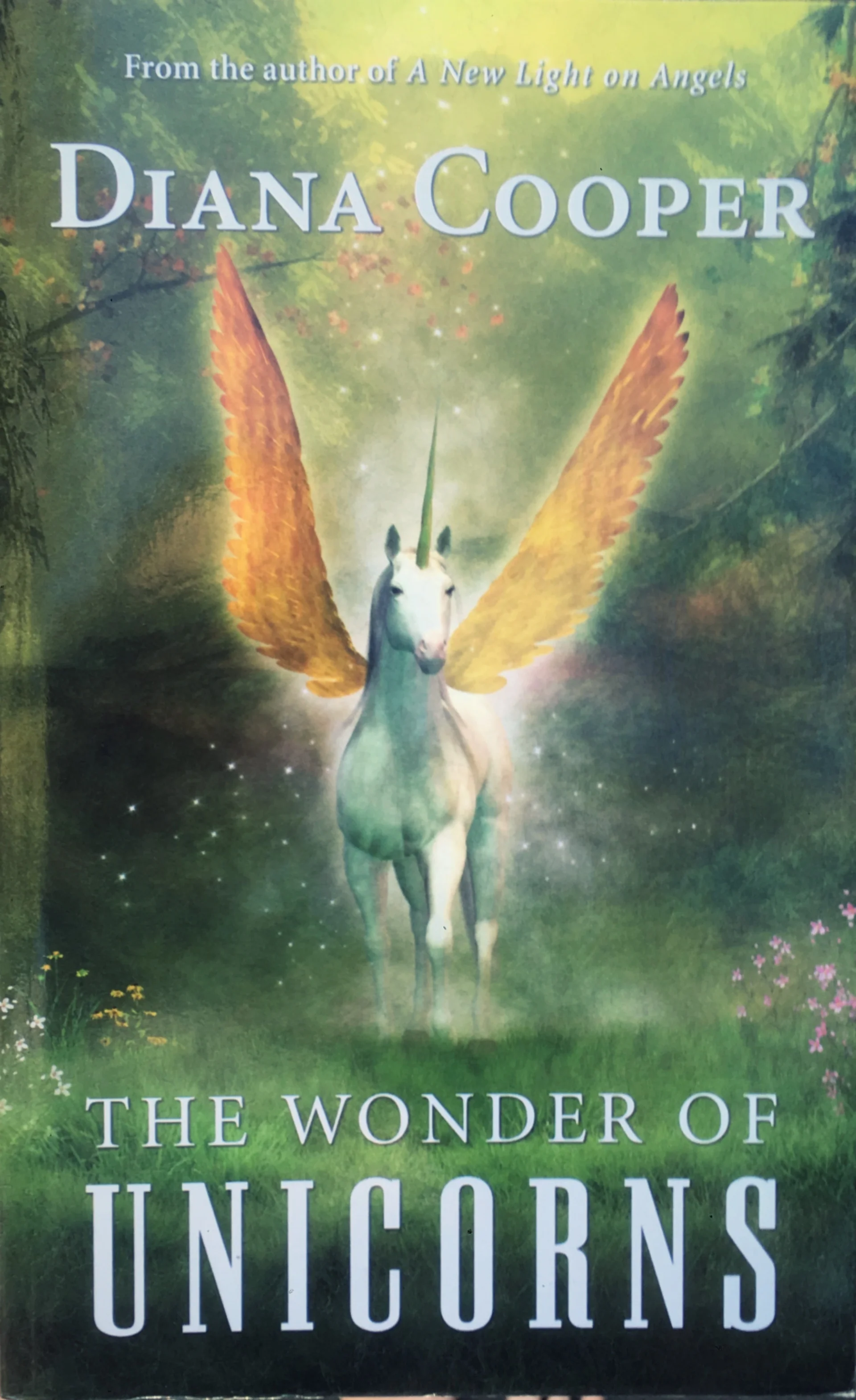 The wonderful unicorns BOOKS.jpg