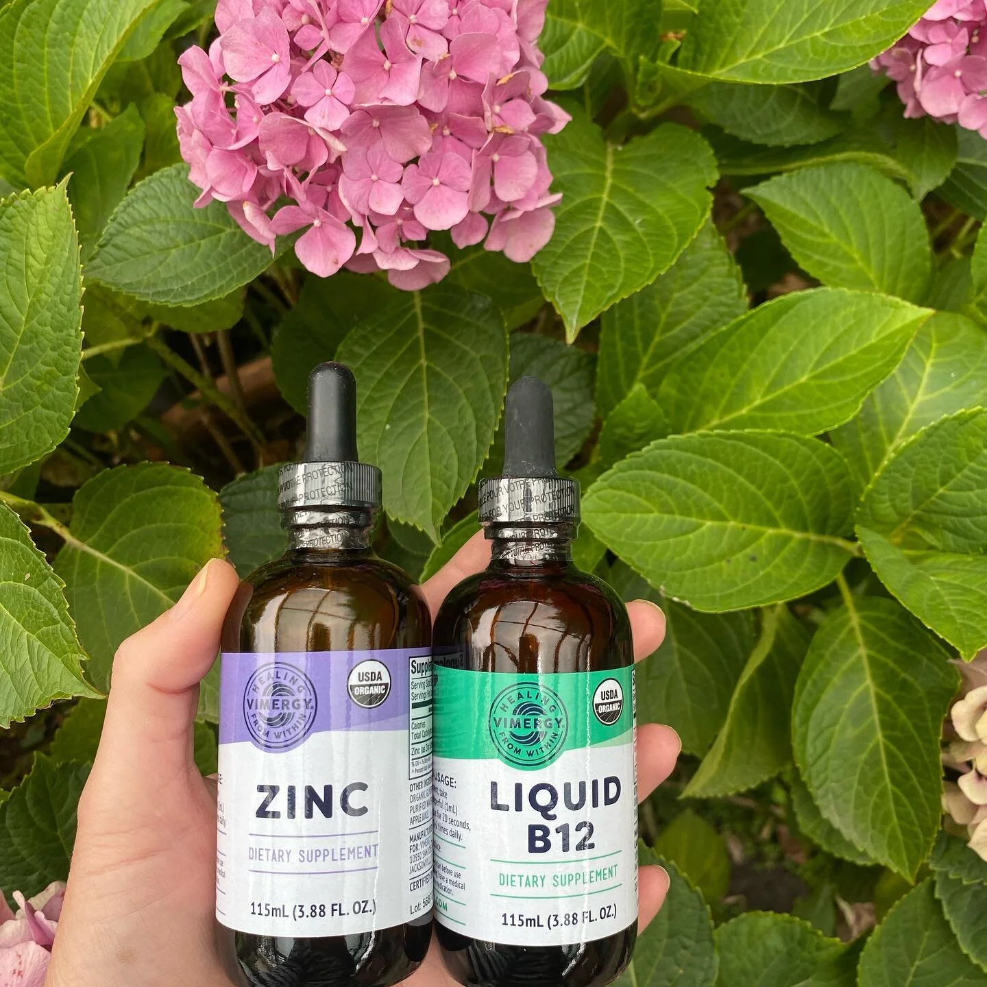 Want to amp up your health? These are a good send and can only be ordered via @vimergy and only one Aussie supplier. While 2020 was a challenging year in forever grateful for these two main healing supplements I learnt from @medicalmedium 
Our health