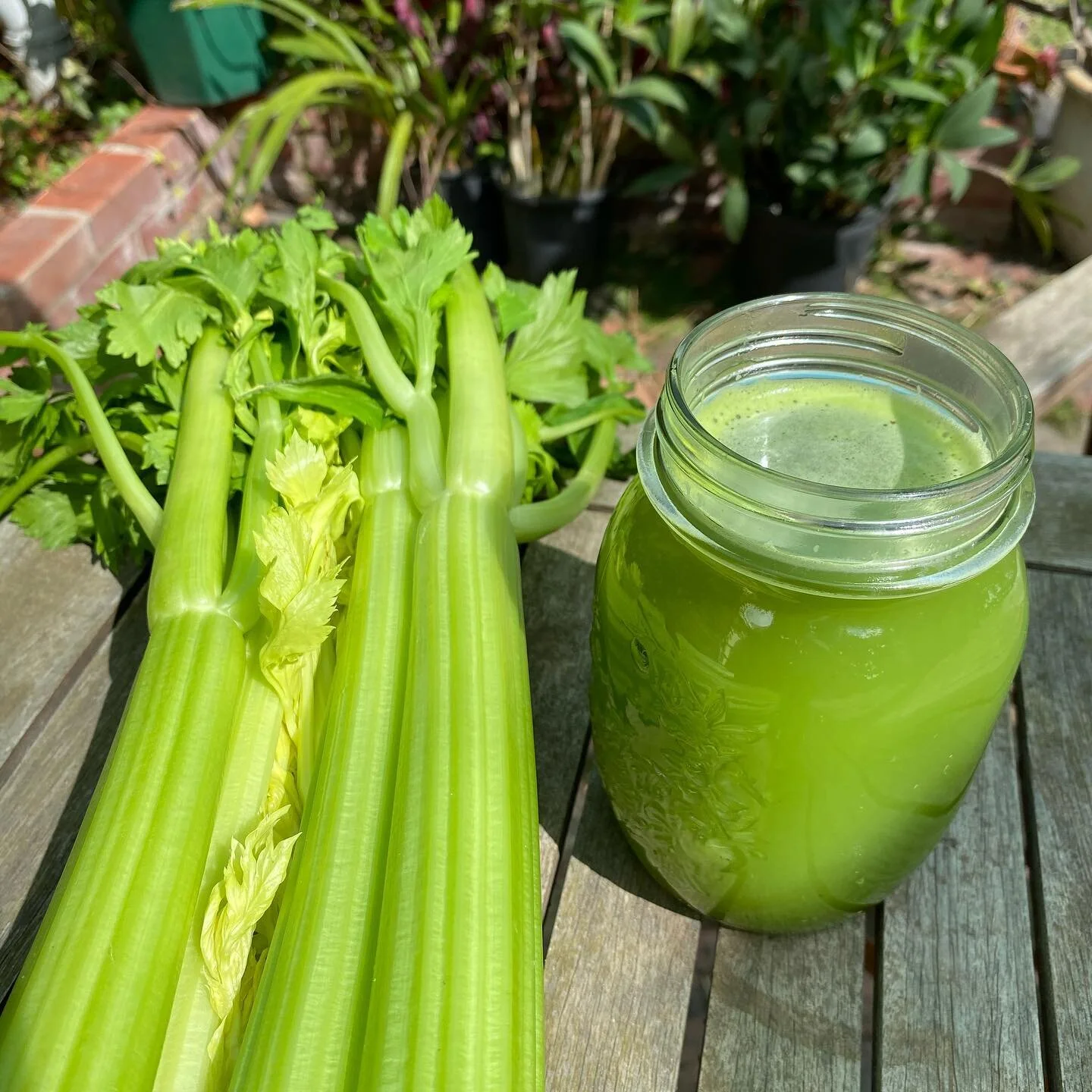 Never underestimate the power of this &ldquo;liquid gold&rdquo;&rsquo;...it&rsquo;s more than just plain celery juice. When you are tired of not feeling the best, this will be only way forward. Try going around the bush, this magical stuff heals you 