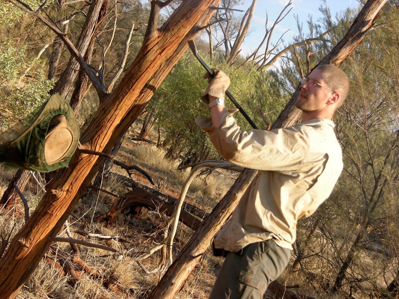 Bryan_Fry_fieldwork - 056.jpg