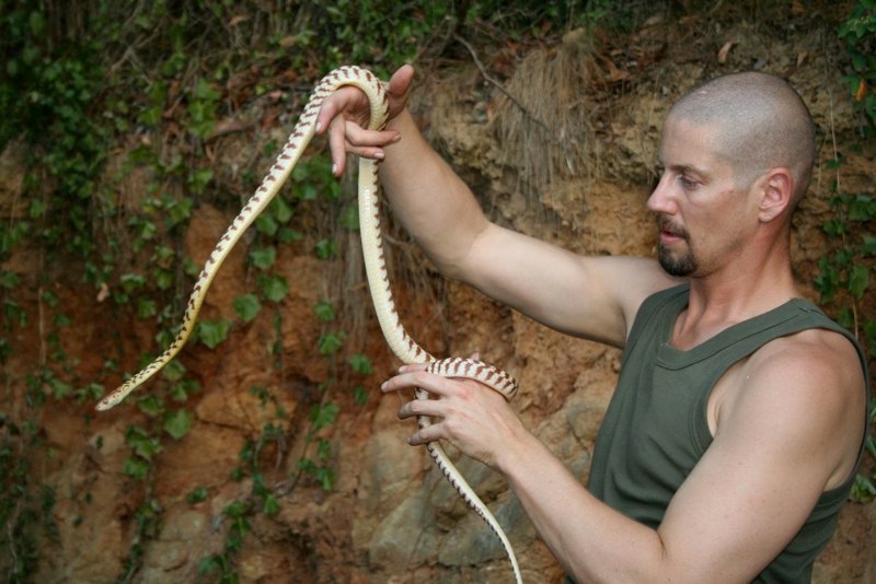Bryan_Fry_snake_venom_research_II - 250.jpg