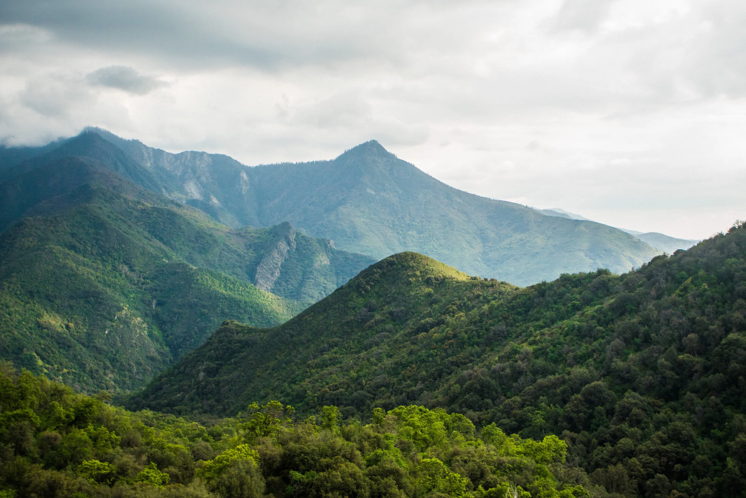 20180910_USATrip2018_Sony-304.jpg