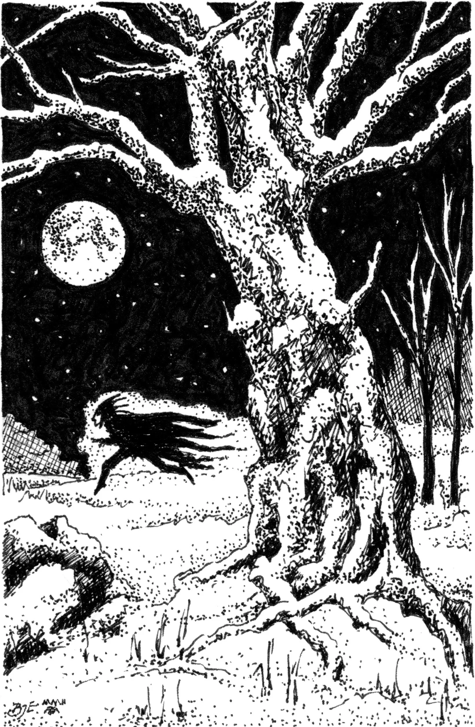 Jack Frost.jpg