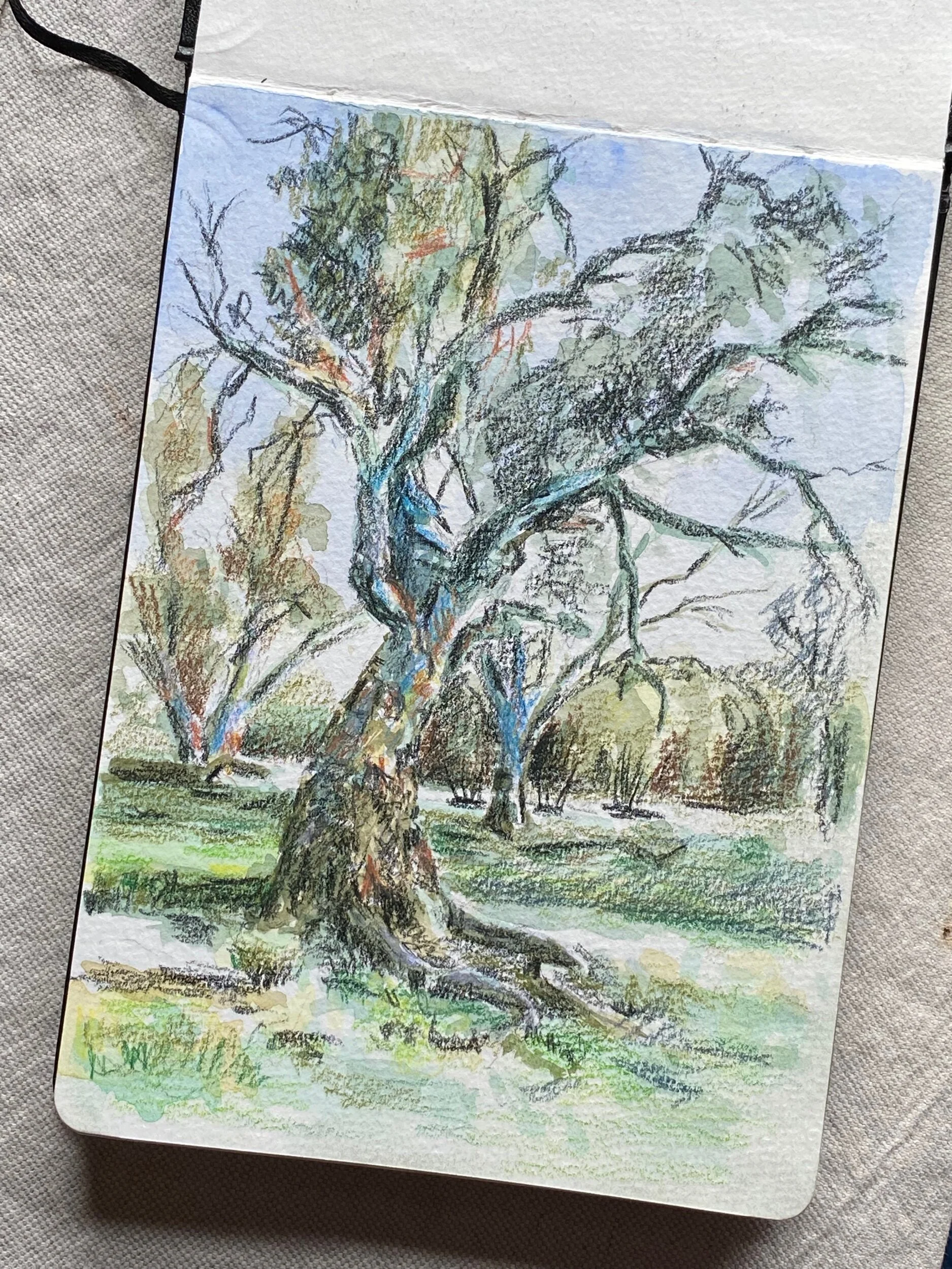 09122774-D031-495F-BAB5-BA9823ABB818