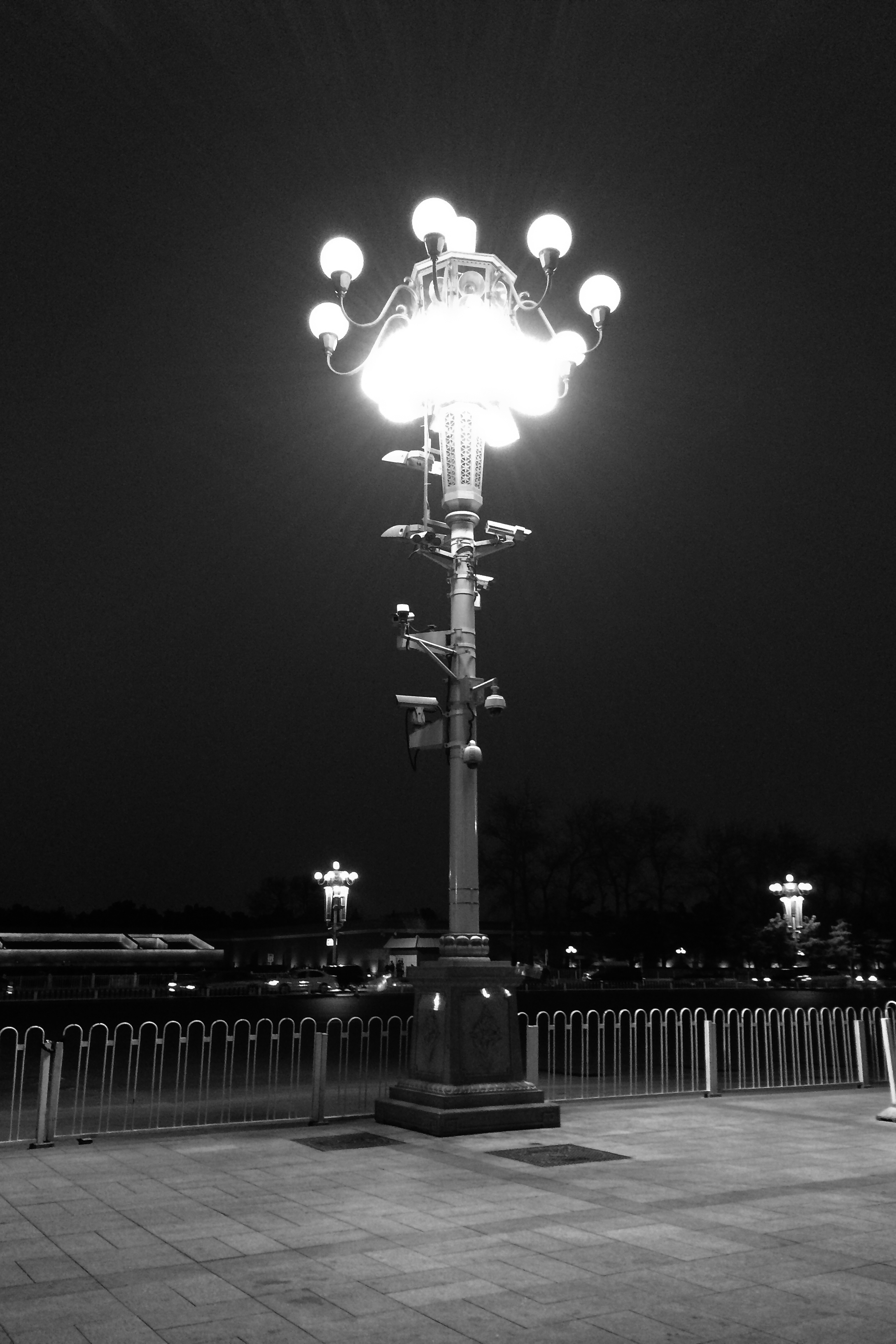 Fascination with light.jpg