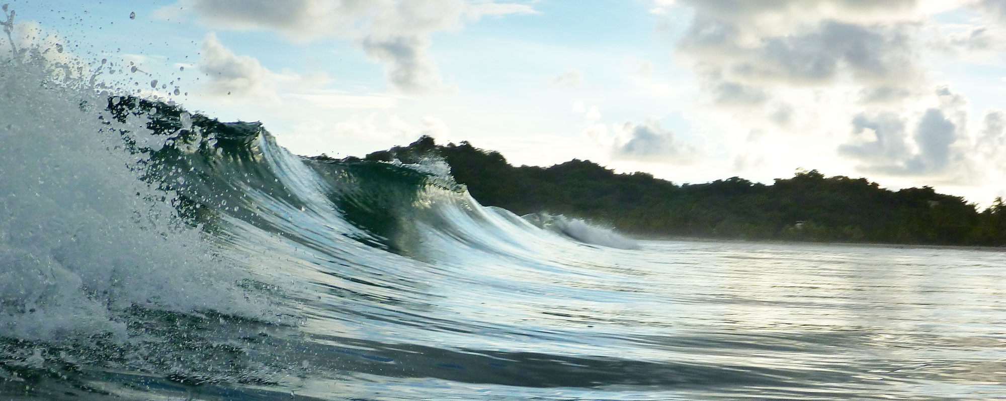 wave.jpg