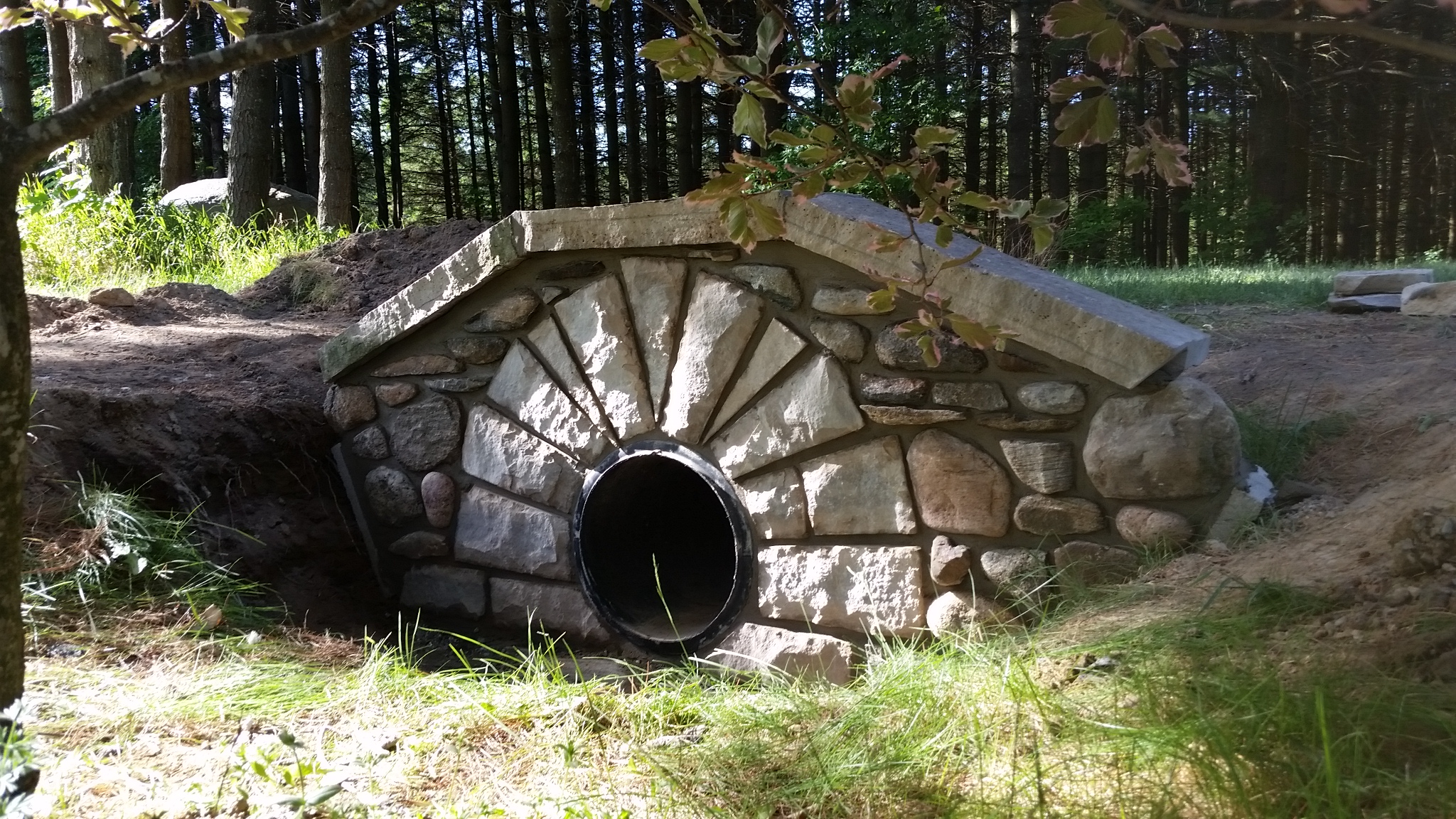 20160531_173415.jpg