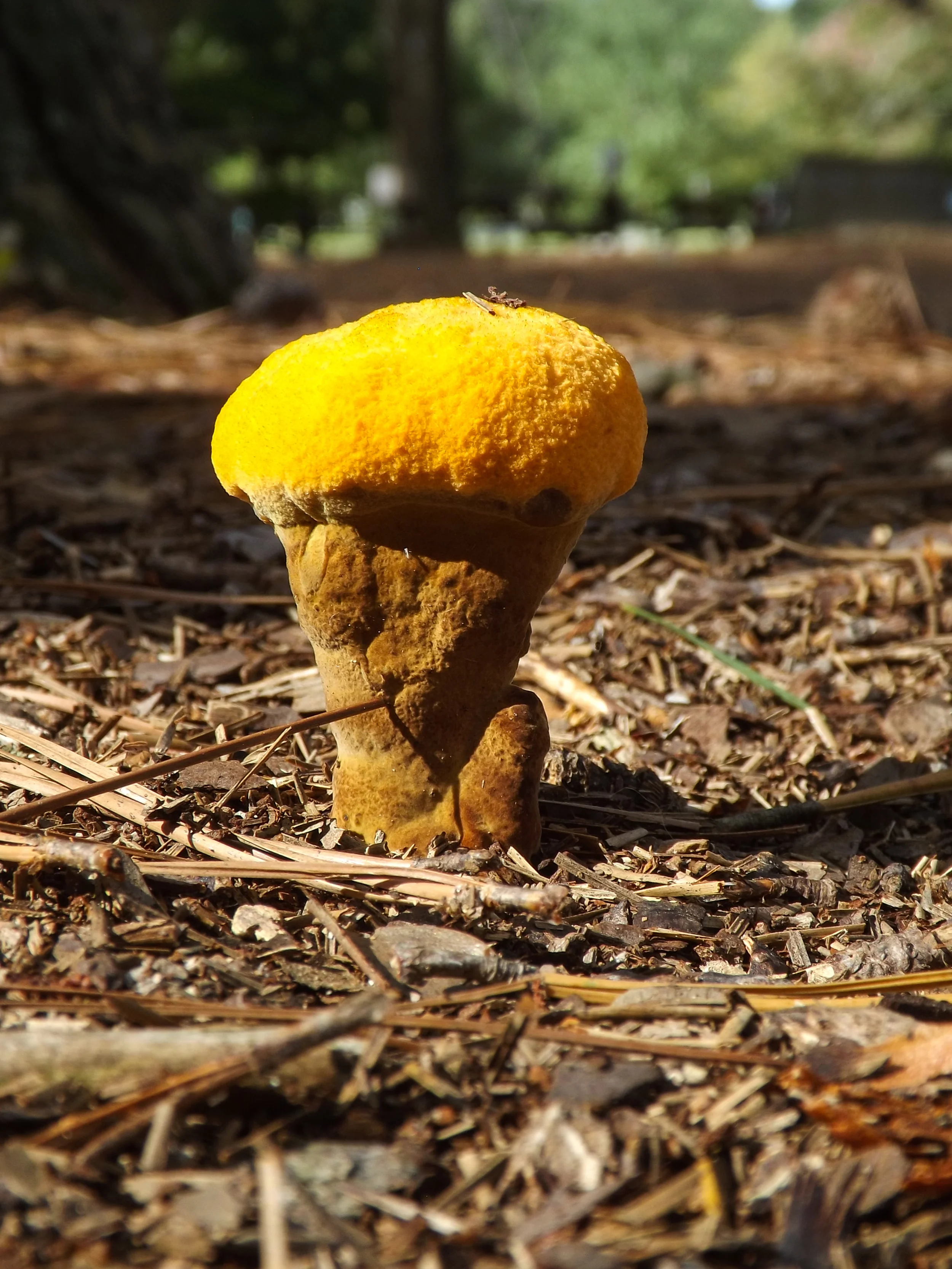 DSCF2559.jpg