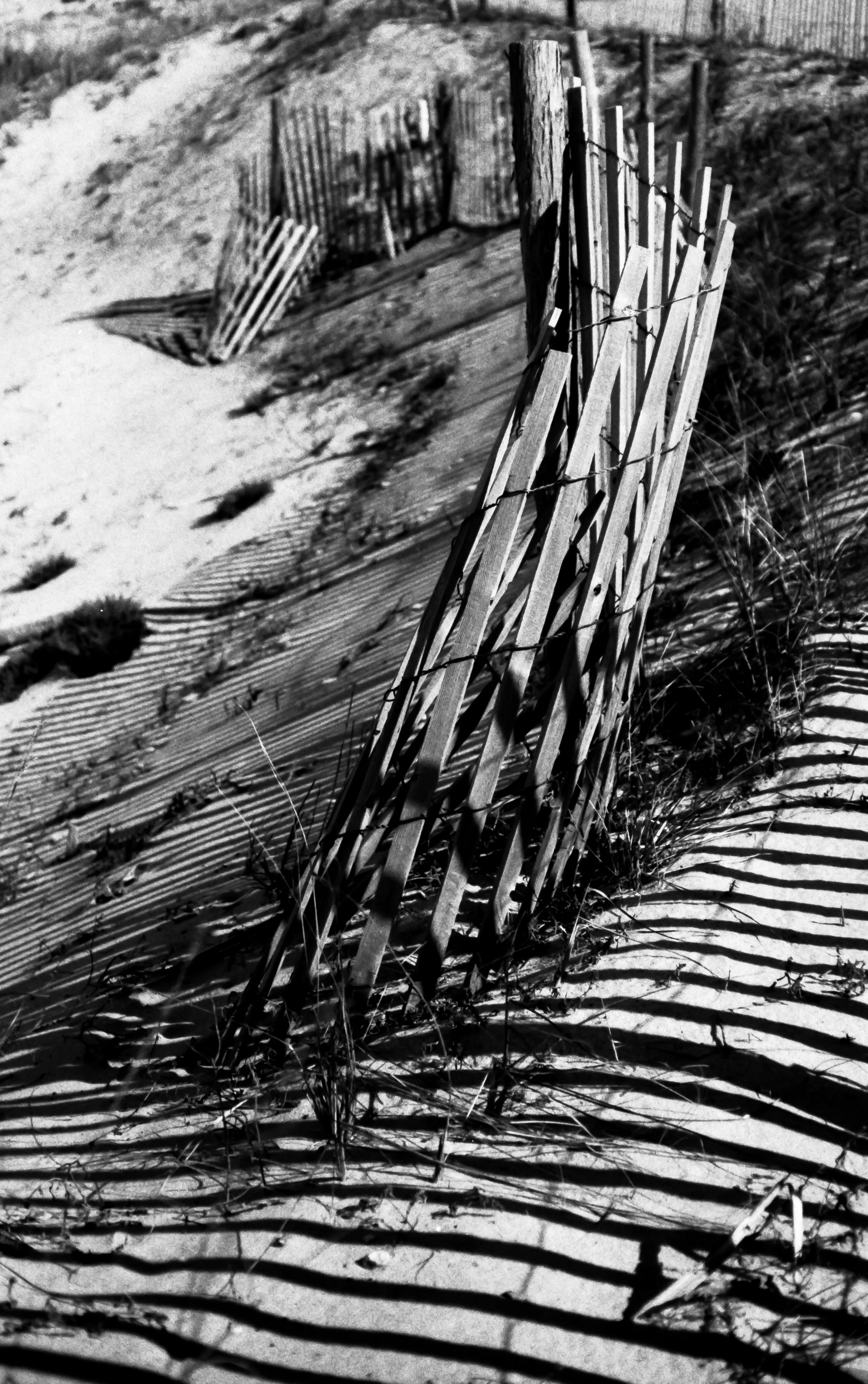 2016_02_29_BW_35_022.jpg