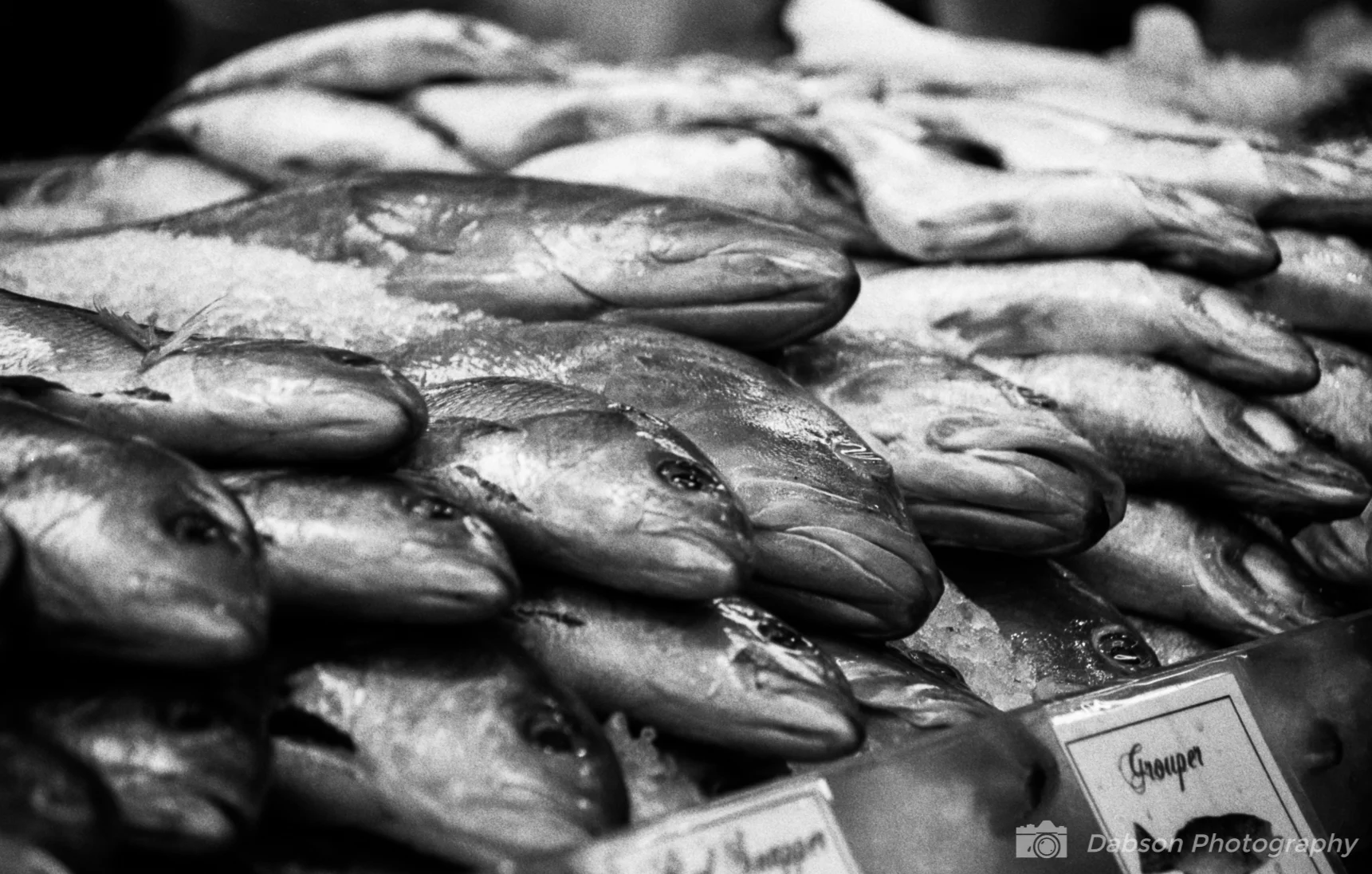 20170429_BW_35_042.jpg