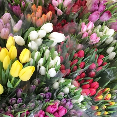 Photo by Full Bloom Home Staging