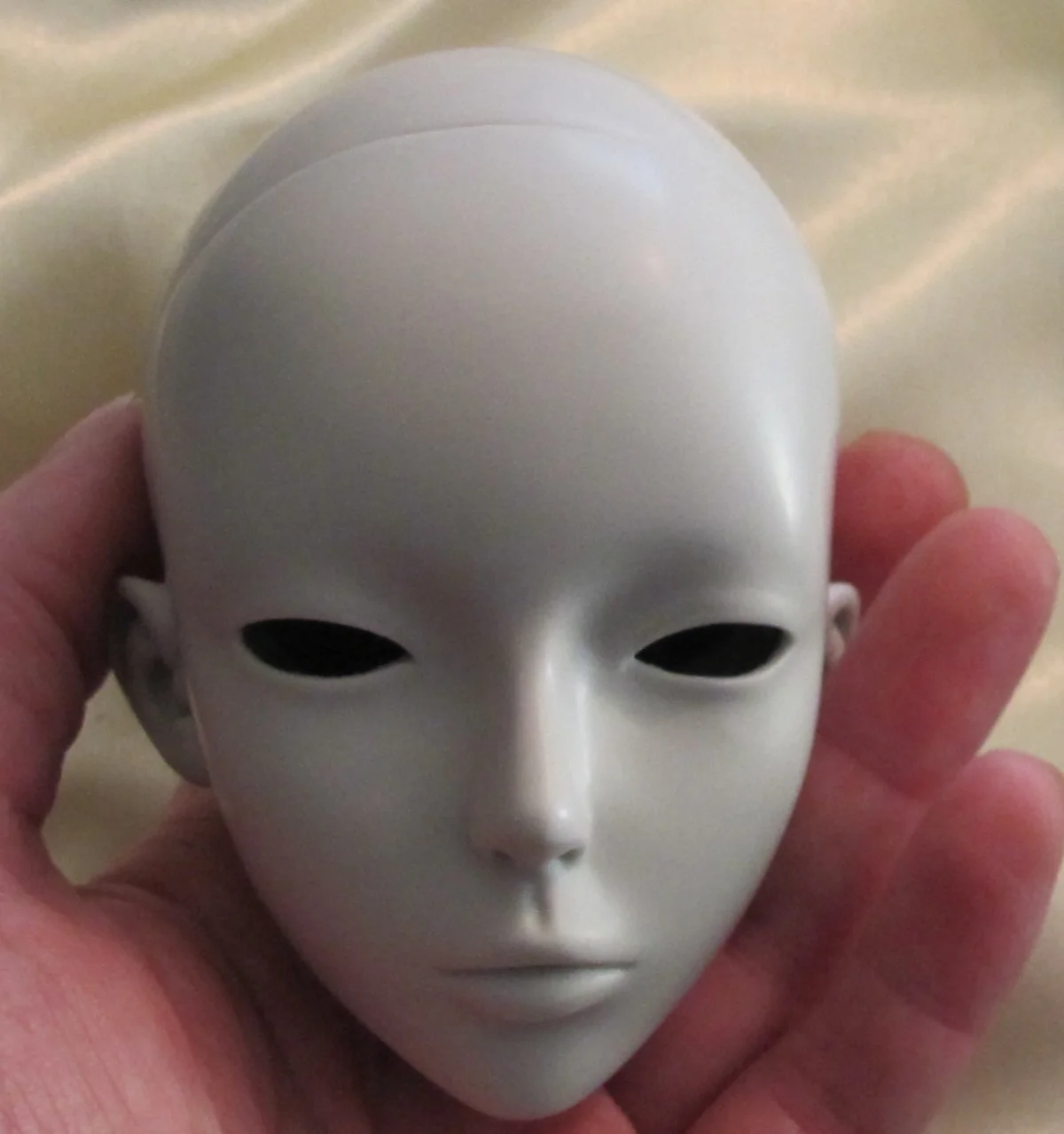 head4.jpg