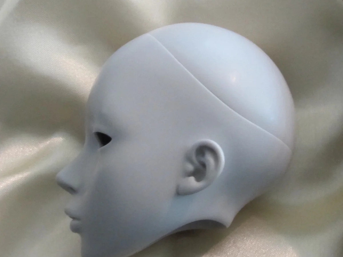 head2.jpg
