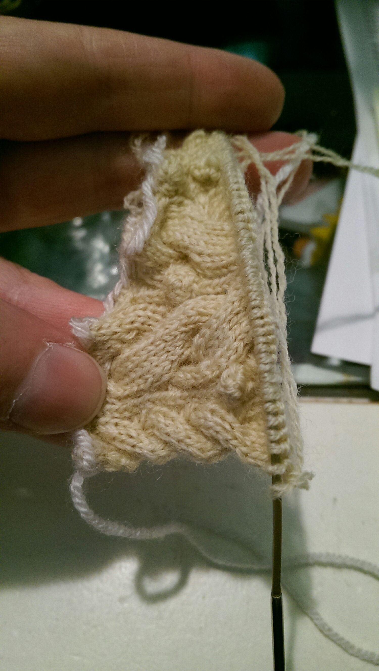 Hoodlet-07-27-2015-4.jpeg