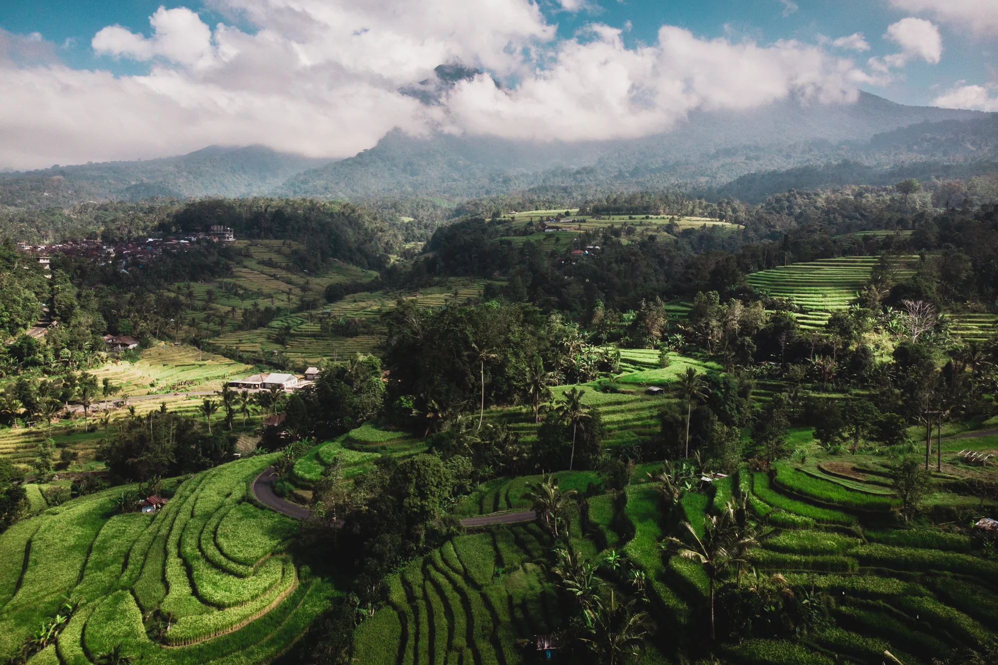 DJI_0067.jpg