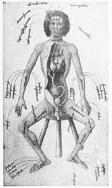 Medical imagery from 15th century | Sourced via publicdomainreview.org