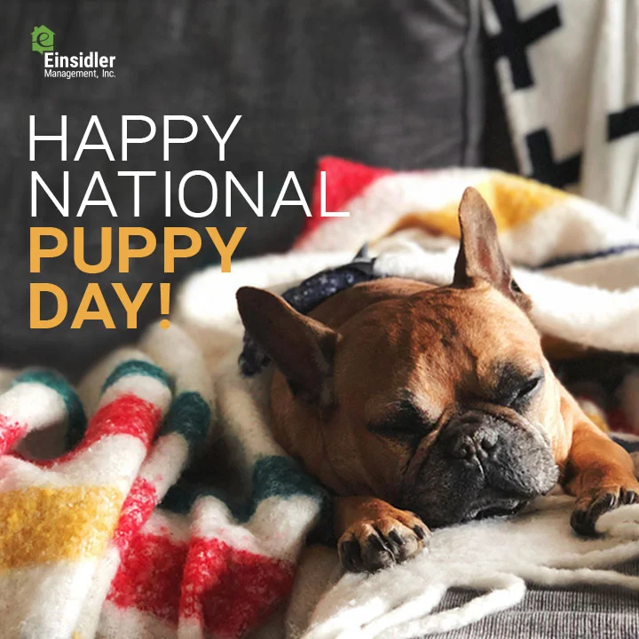 National-Puppy-Day3.jpg