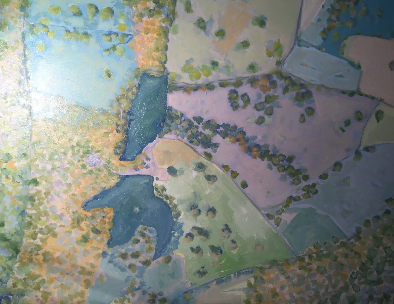 Aerial View -Goochland Property