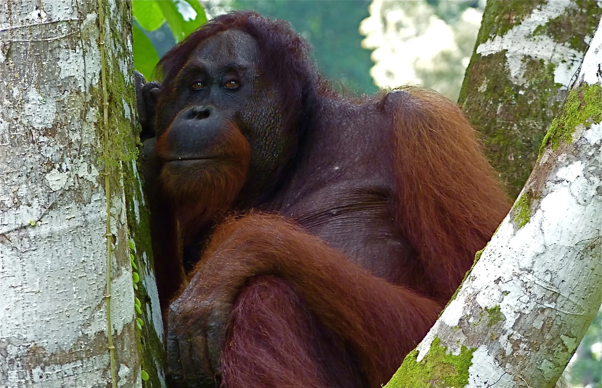 P1010034.JPG - Version 2.JPG