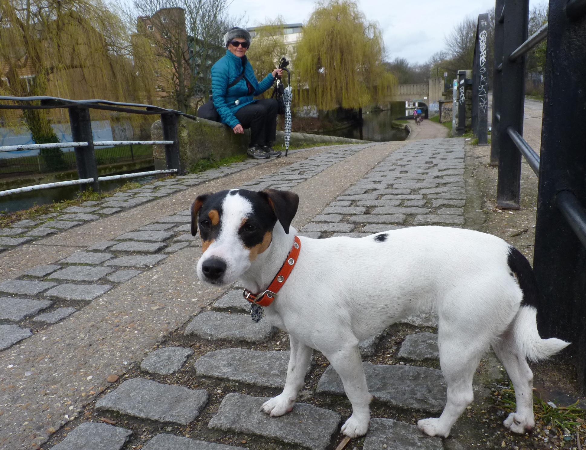  I live near lots of canals. People bicycle very fast down the canals so I had to learn to be careful. Can you tell I was a little scared? I was only six months old! 