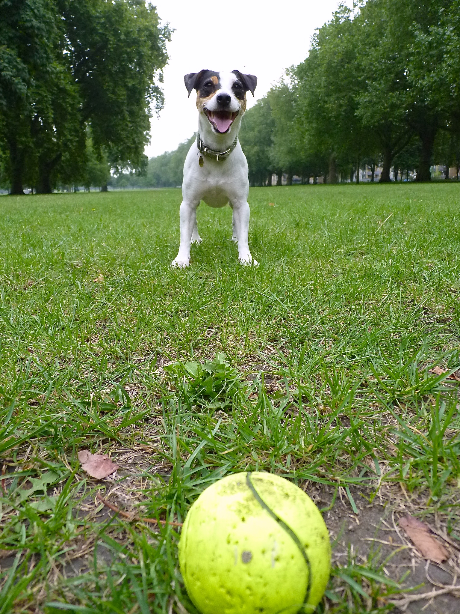 Can we go back to the park and play again now please?