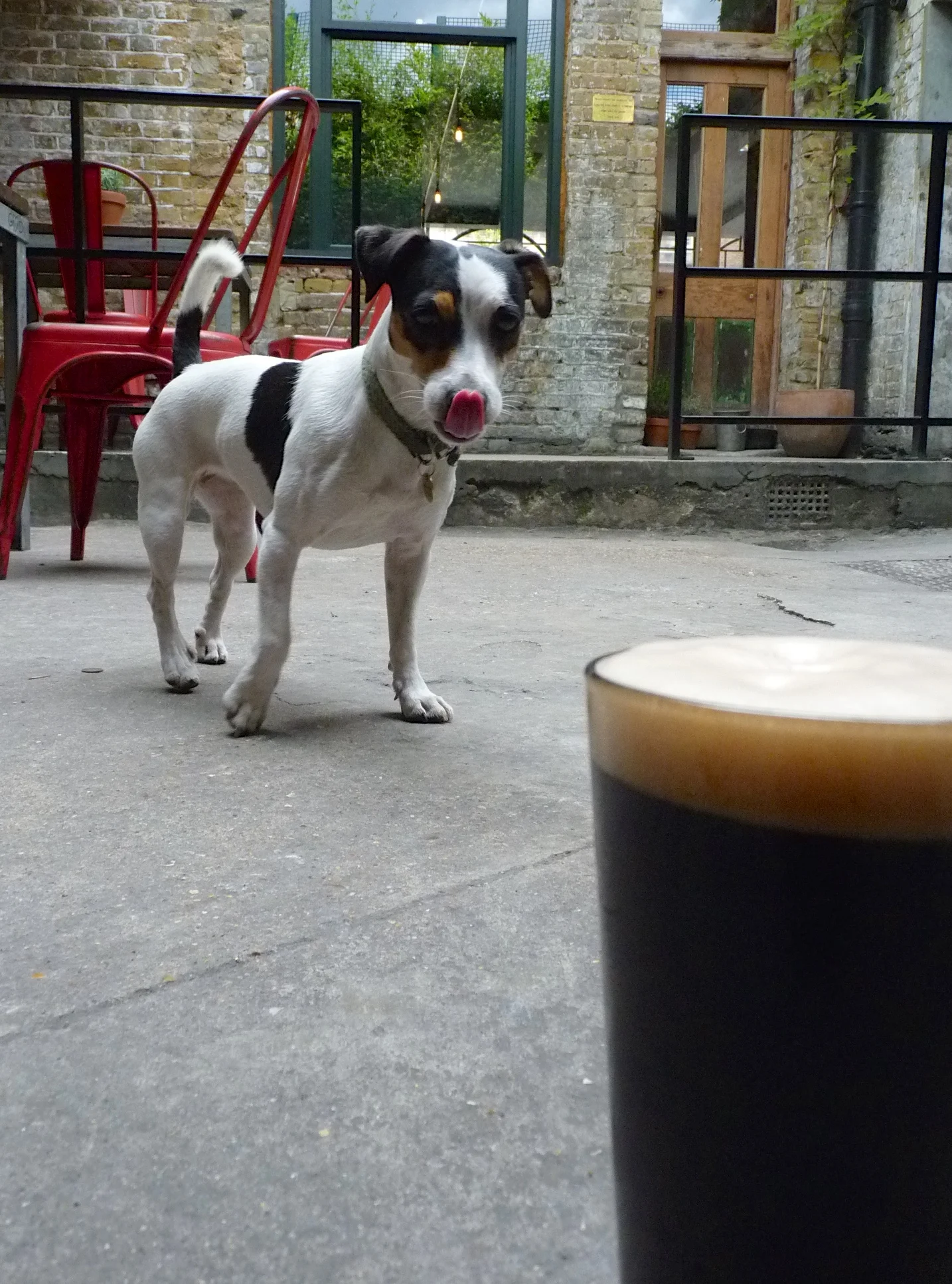 Do you think Olive Daddy will mind if I drink his beer?