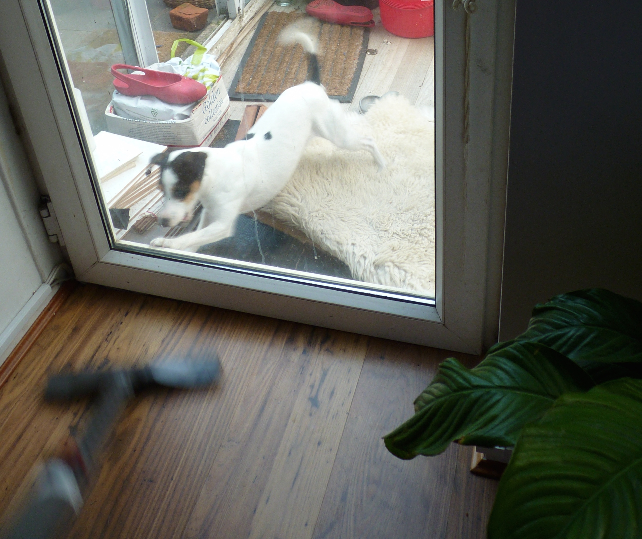 The vacuum cleaner is my sworn enemy. Not only does it have bristles it pretends are fur (like brooms!) but it makes a lot of noise. Do you know why I hate it? Because nature abhors a vacuum! (ask your mom)