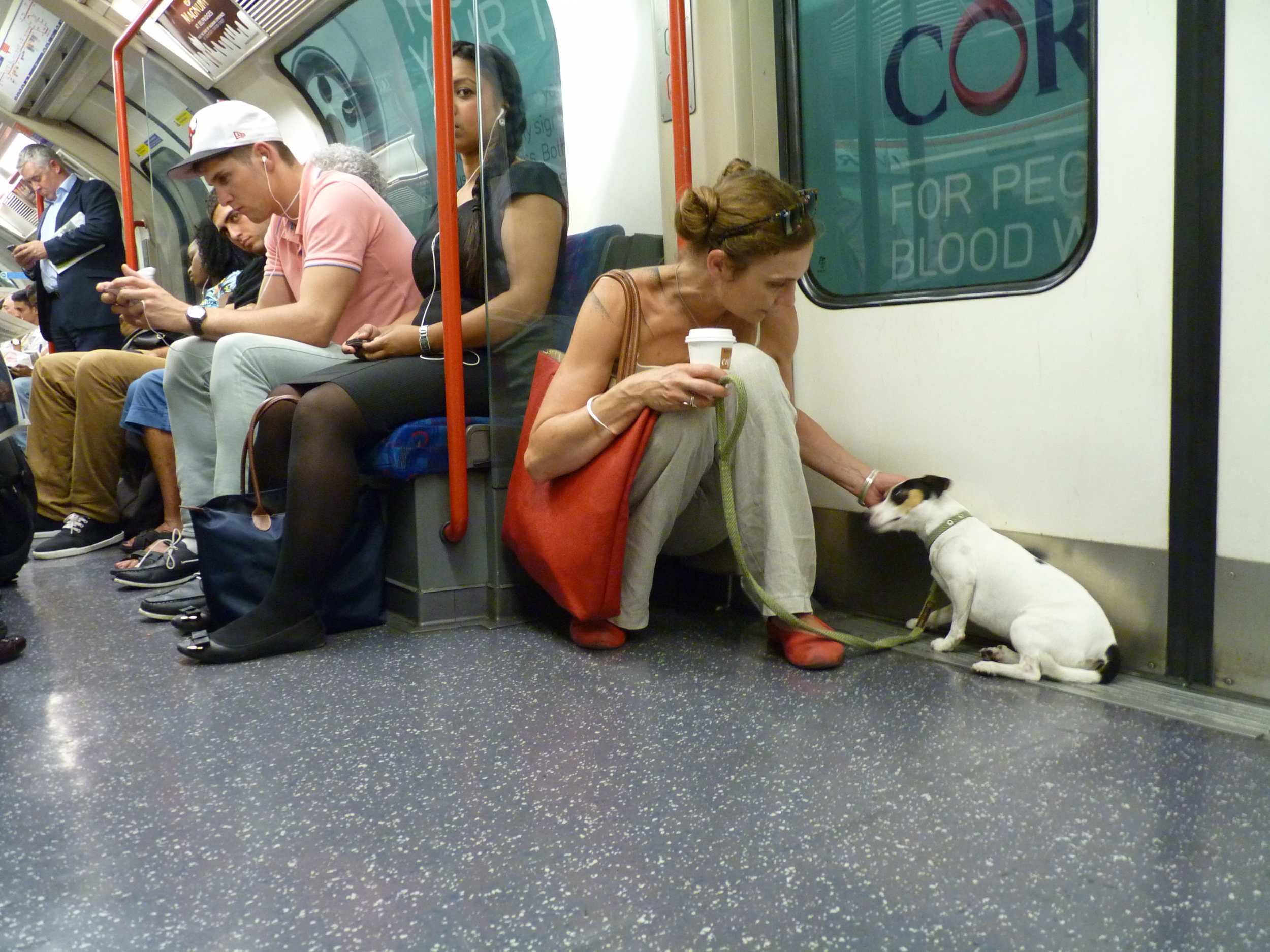  I like the Tube when it's not too hot, not too crowded and when Olive Mommy gives me scritchees. 