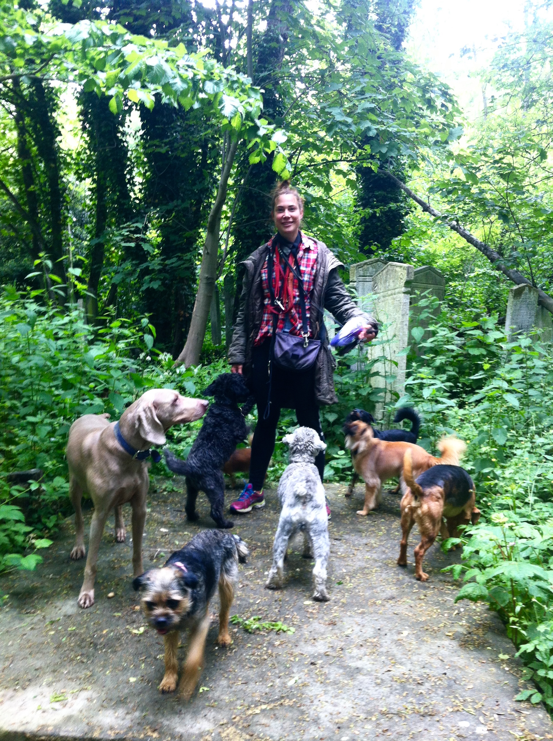 This is our friend Kat with a K! (Olive Mommy is Cat with a C, remember?) Kat with a K walks dogs for a living. All the dogs in the neighborhood know Kat with a K is in charge! Kat with a K belongs to Bulli. Bulli is my best dog friend. Can you guessed which one he is?