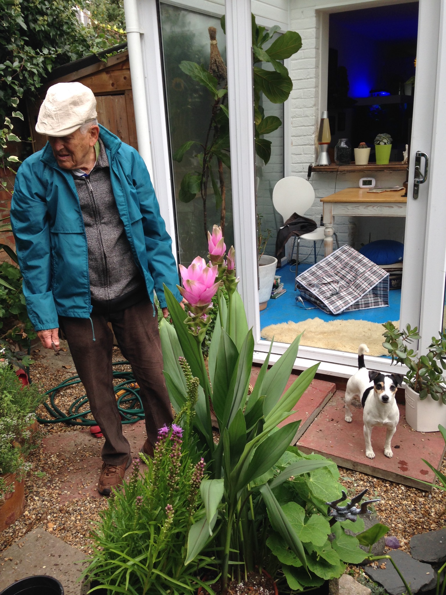  Pops and I planted out the big barrel on Cat's command. Pops had ideas for how to arrange the plants. Again, Cat had none of it. Welcome to my world, old man! 