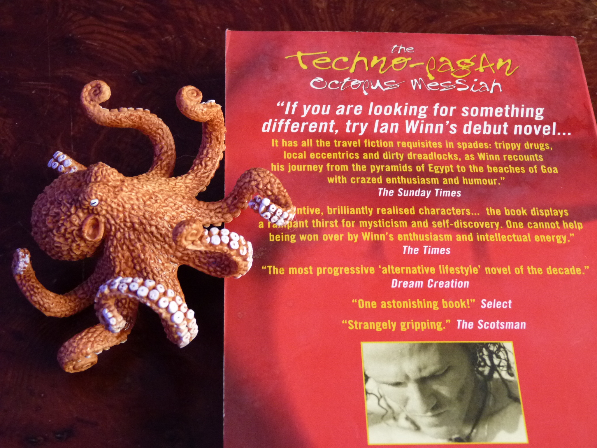 backcover.jpg