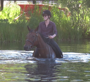 Cathy Lauderbaugh has many years of experience training horses across multiple disciplines; she currently offers horse training in Boulder Colorado.