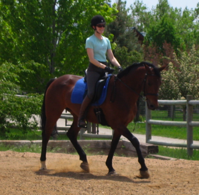Reviews and Testimonials for Cathy Lauderbaugh as a horse trainer in Boulder Colorado.