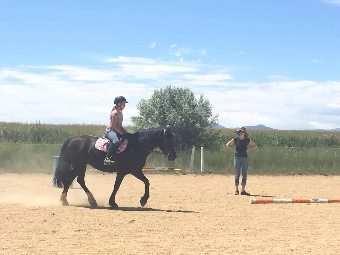 Reviews and Testimonials for Cathy Lauderbaugh as a horse trainer and horseback riding instructor in Boulder Colorado.