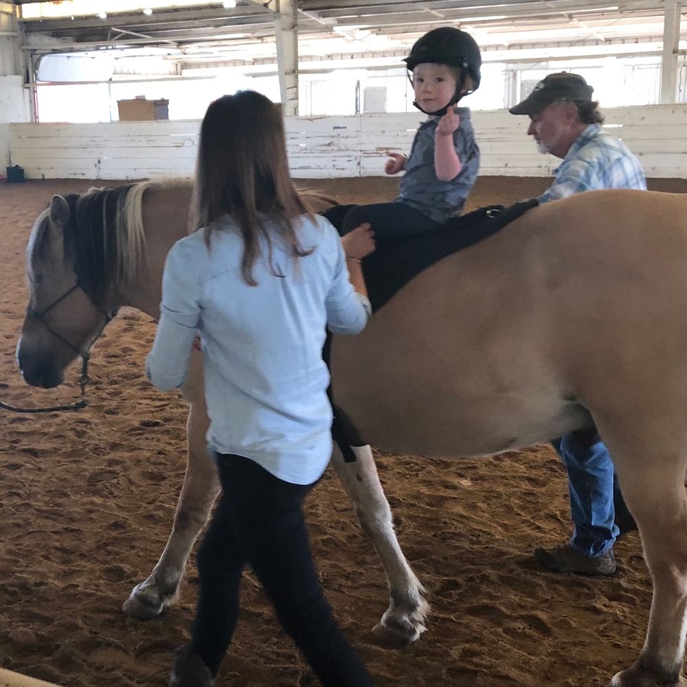 Speech Therapy with the use of Hippotherapy in Boulder CO