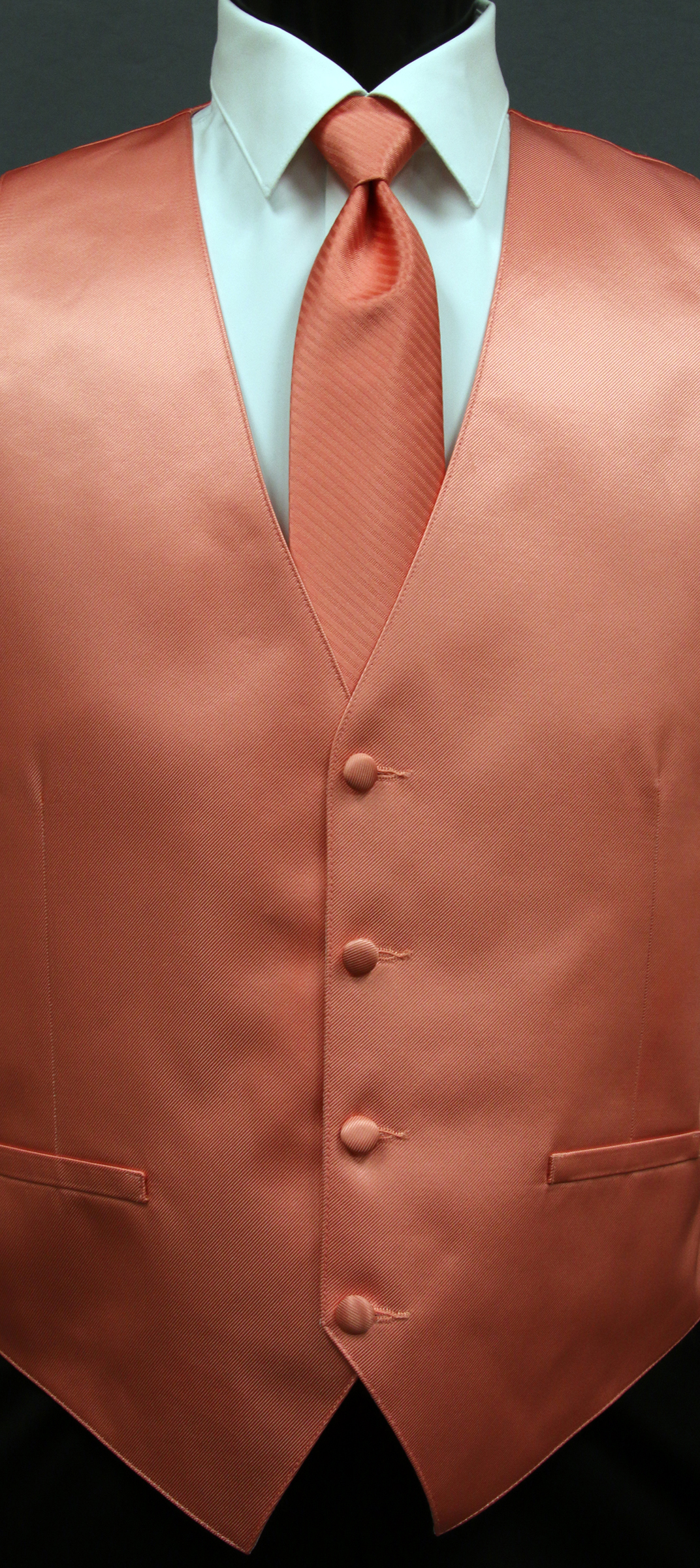 Modern Solid Coral by Larr Brio