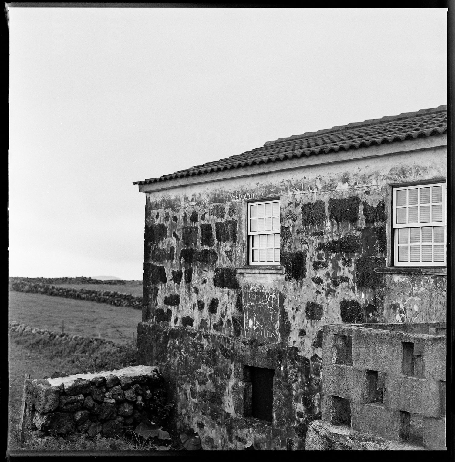Photo by Brjánn Bettencourt
